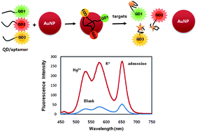 Graphical abstract: Gold nanoparticle-based homogeneous fluorescent aptasensor for multiplex detection