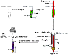 Graphical abstract: Dielectric barrier discharge-plasma induced vaporization and its application to the determination of mercury by atomic fluorescence spectrometry
