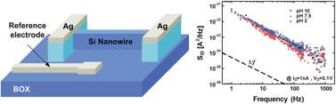 Graphical abstract: Silicon nanowire ion sensitive field effect transistor with integrated Ag/AgCl electrode: pH sensing and noise characteristics