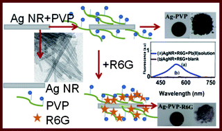 Graphical abstract: Inorganic–organic Ag-rhodamine 6G hybrid nanorods: “Turn on” fluorescent sensors for highly selective detection of Pb2+ ions in aqueous solution