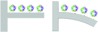 Graphical abstract: Micromechanical measurement of AChBP binding for label-free drug discovery