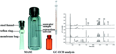 Graphical abstract: Rapid analysis of pyrethroid insecticides in aquaculture seawater samples viamembrane-assisted solvent extraction coupled with gas chromatography-electron capture detection