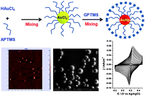 Graphical abstract: 3-Glycidoxypropyltrimethoxysilane mediated in situ synthesis of noble metal nanoparticles: Application to hydrogen peroxide sensing
