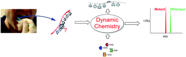 Graphical abstract: Dynamic chemistry for enzyme-free allele discrimination in genotyping by MALDI-TOF mass spectrometry