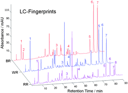Graphical abstract: Analysis of HPLC fingerprints: discrimination of raw and processed Rhubarb samples with the aid of chemometrics