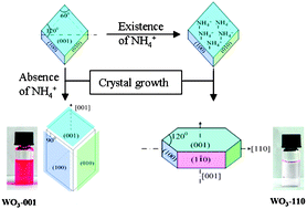 Graphical abstract: Hexagonal single crystal growth of WO3 nanorods along a [110] axis with enhanced adsorption capacity