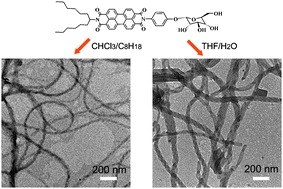 Graphical abstract: Modulating helicity through amphiphilicity—tuning supramolecular interactions for the controlled assembly of perylenes