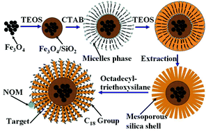 Graphical abstract: A core–shell magnetic mesoporous silica sorbent for organic targets with high extraction performance and anti-interference ability