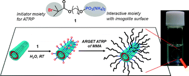 Graphical abstract: Poly(methyl methacrylate) grafted imogolite nanotubes prepared through surface-initiated ARGET ATRP