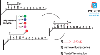 Graphical abstract: Sequencing nucleic acids: from chemistry to medicine