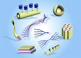Graphical abstract: Functional supramolecular assemblies derived from dendritic building blocks