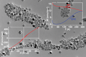 Graphical abstract: Large-scaled star-shaped α-MnS nanocrystals with novel magnetic properties