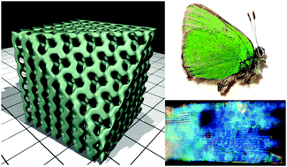 Graphical abstract: Inorganic chiral 3-D photonic crystals with bicontinuous gyroid structure replicated from butterfly wing scales