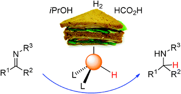 Graphical abstract: Hydrogenation of imino bonds with half-sandwich metal catalysts