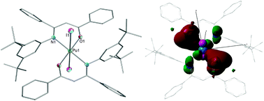 Graphical abstract: Differences in actinide metal–ligand orbital interactions: comparison of U(iv) and Pu(iv) β-ketoiminate N,O donor complexes