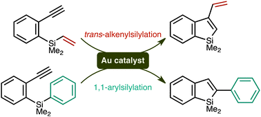 Graphical abstract: Gold-catalysed alkenyl- and arylsilylation reactions forming 1-silaindenes