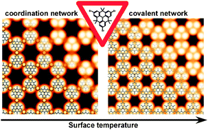 Graphical abstract: Surface-supported 2D heterotriangulene polymers