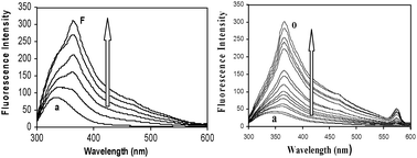 Graphical abstract: A simple strategy for charge selective biopolymer sensing