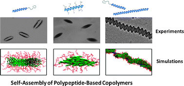 Graphical abstract: Self-assembly of polypeptide-based copolymers into diverse aggregates
