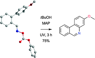 Graphical abstract: UV promoted phenanthridine syntheses from oxime carbonate derived iminyl radicals
