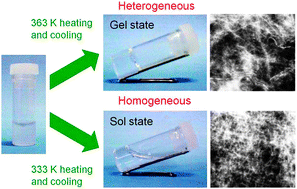 Graphical abstract: Controllable heterogeneity in a supramolecular hydrogel