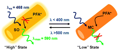 Graphical abstract: Reversible modulation of photoluminescence from conjugated polymer nanotubes by incorporation of photochromic spirooxazine molecules