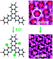 Graphical abstract: Locking the free-rotation of a prochiral star-shaped guest molecule inside a two-dimensional nanoporous network by introduction of chlorine atoms