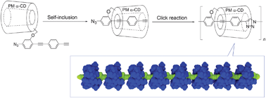 Graphical abstract: Synthesis of an insulated molecular wire by click polymerization