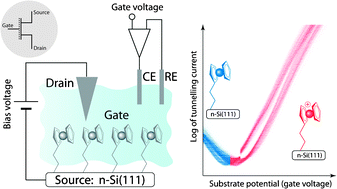 Graphical abstract: Electrochemical scanning tunnelling spectroscopy of a ferrocene-modified n-Si(111)-surface: electrolyte gating and ambipolar FET behaviour