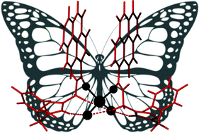 Graphical abstract: A pyrene-based fluorescent sensor for Zn2+ ions: a molecular ‘butterfly’
