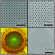 Graphical abstract: Highly ordered titania nanotube arrays with square, triangular, and sunflower structures