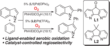 Graphical abstract: Regiocontrolled aerobic oxidative coupling of indoles and benzene using Pd catalysts with 4,5-diazafluorene ligands