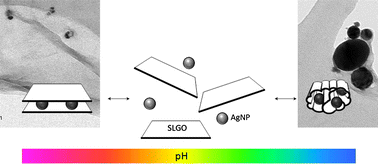 Graphical abstract: pH-driven physicochemical conformational changes of single-layer graphene oxide