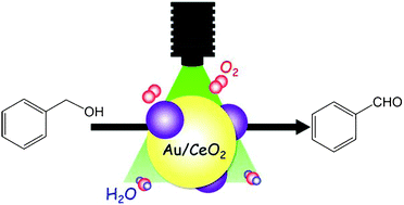 Graphical abstract: Selective photocatalytic oxidation of aromatic alcohols to aldehydes in an aqueous suspension of gold nanoparticles supported on cerium(iv) oxide under irradiation of green light