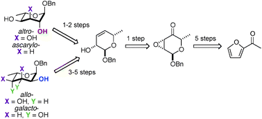 Graphical abstract: De novo synthesis of deoxy sugarvia a Wharton rearrangement