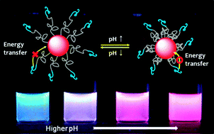 Graphical abstract: Fluorescent and pH-responsive diblock copolymer-coated core–shell CdSe/ZnS particles for a color-displaying, ratiometric pH sensor