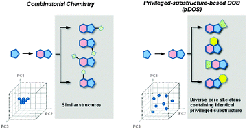 Graphical abstract: A design strategy for drug-like polyheterocycles with privileged substructures for discovery of specific small-molecule modulators