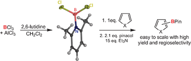 Graphical abstract: Simple inexpensive boron electrophiles for direct arene borylation