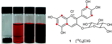 Graphical abstract: A gram scale synthesis of a multi-13C-labelled anthocyanin, [6,8,10,3′,5′-13C5]cyanidin-3-glucoside, for use in oral tracer studies in humans