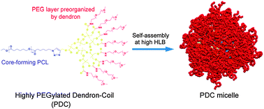 Graphical abstract: Dendron-mediated self-assembly of highly PEGylated block copolymers: a modular nanocarrier platform