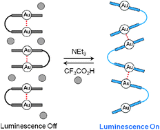 Graphical abstract: Luminescence on–off switching via reversible interconversion between inter- and intramolecular aurophilic interactions