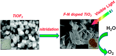 Graphical abstract: Photocatalytic water oxidation on F, N co-doped TiO2 with dominant exposed {001} facets under visible light