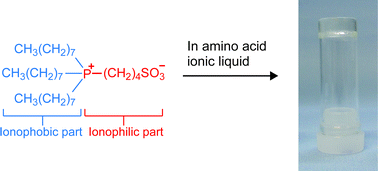 Graphical abstract: Gelation of an amino acid ionic liquid by the addition of a phosphonium-type zwitterion