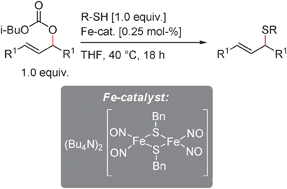 Graphical abstract: Binuclear Fe-complexes as catalysts for the ligand-free regioselective allylic sulfenylation