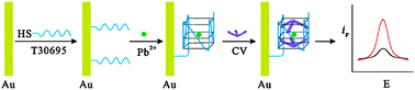 Graphical abstract: Crystal violet as a G-quadruplex-selective probe for sensitive amperometric sensing of lead