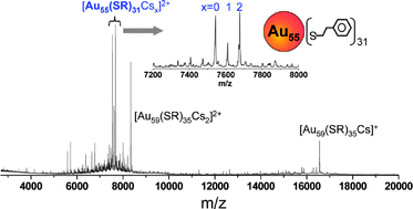 Graphical abstract: Synthesis and electrospray mass spectrometry determination of thiolate-protected Au55(SR)31 nanoclusters