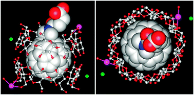 Graphical abstract: Pseudorotaxane structure of a fullerene derivative—cyclodextrin 1 : 2 complex