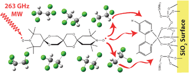 Graphical abstract: Non-aqueous solvents for DNP surface enhanced NMR spectroscopy