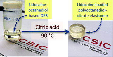 Graphical abstract: Synthesis of novel lidocaine-releasing poly(diol-co-citrate) elastomers by using deep eutectic solvents