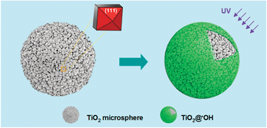 Graphical abstract: Novel photocatalytic antibacterial activity of TiO2 microspheres exposing 100% reactive {111} facets